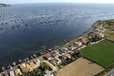 Étang de Thau, Hérault — site de production d'huîtres Sous la Mer