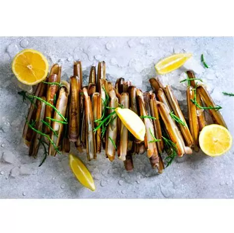 Couteaux de mer