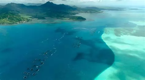 Lagon de Mahebourg, Île Maurice — site de production d'huîtres Sous la Mer